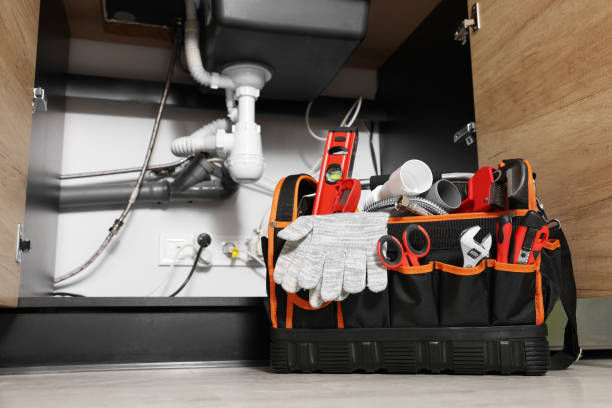 Best Local Plumber Services  in Nogales, AZ